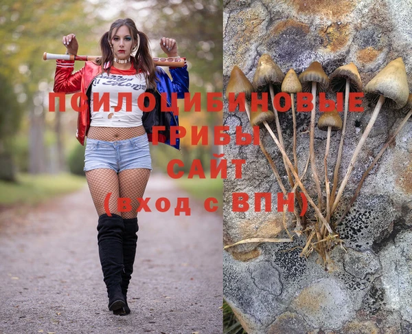 амф Вязьма