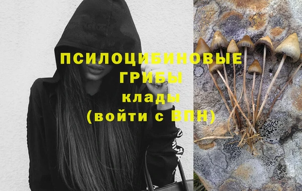 прущие крисы Вязники