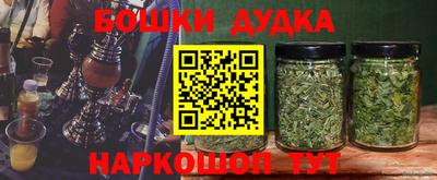 МДПВ Дубна