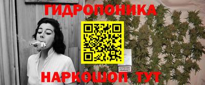 МДПВ Дубна