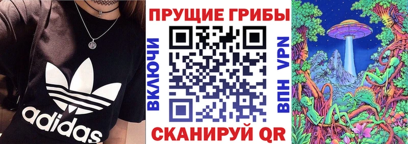 Галлюциногенные грибы Psilocybe Можга