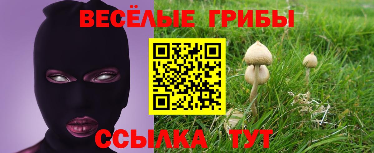 Псилоцибиновые грибы мицелий  Псилоцибиновые грибы мухоморы  Можга  Вход с VPN 