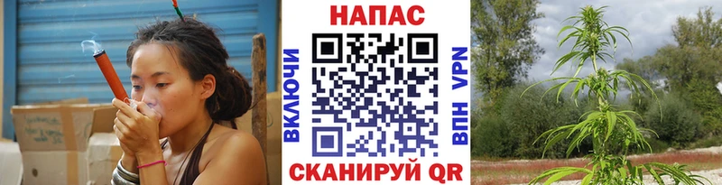 Бошки Шишки сатива  как найти   Можга 