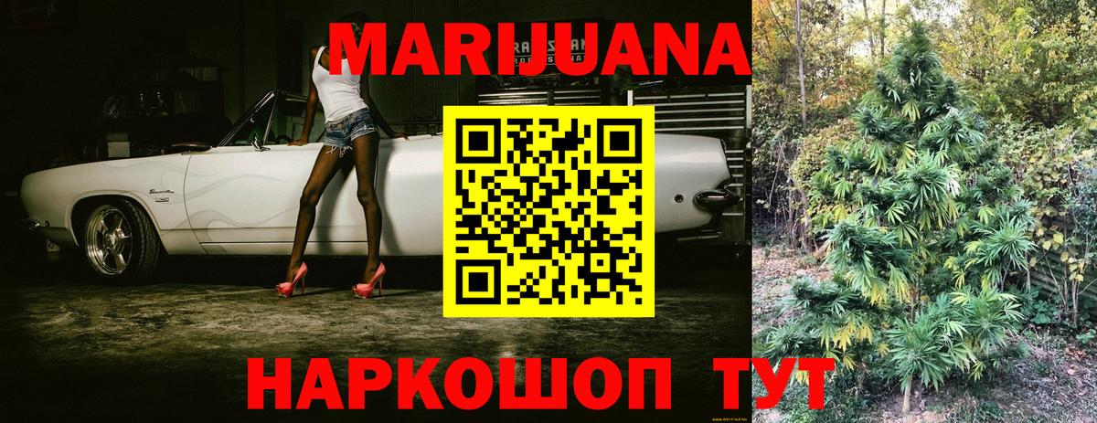 Конопля семена Можга